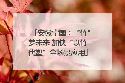 安徽宁国：“竹”梦未来 加快“以竹代塑”全场景应用