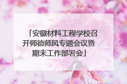安徽材料工程学校召开师德师风专题会议暨期末工作部署会