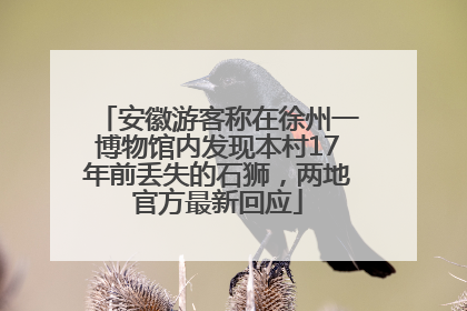 安徽游客称在徐州一博物馆内发现本村17年前丢失的石狮，两地官方最新回应