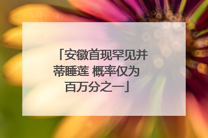 安徽首现罕见并蒂睡莲 概率仅为百万分之一