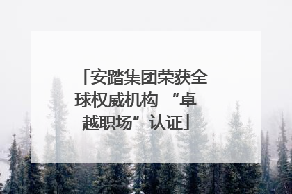 安踏集团荣获全球权威机构 “卓越职场”认证