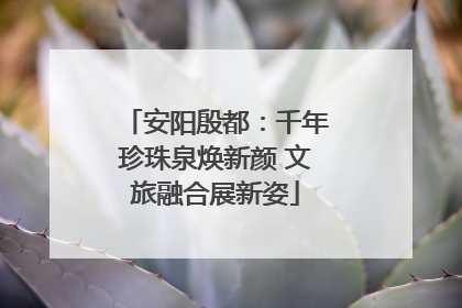 安阳殷都：千年珍珠泉焕新颜 文旅融合展新姿