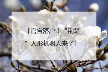 官宣落户！“荆楚”人形机器人来了