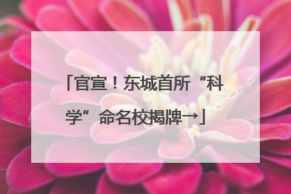 官宣！东城首所“科学”命名校揭牌→