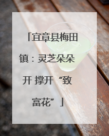 宜章县梅田镇：灵芝朵朵开 撑开“致富花”