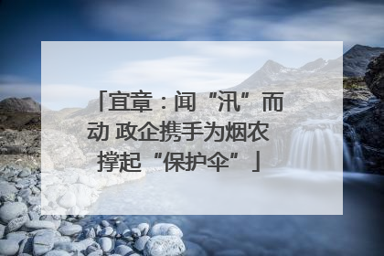 宜章：闻“汛”而动 政企携手为烟农撑起“保护伞”