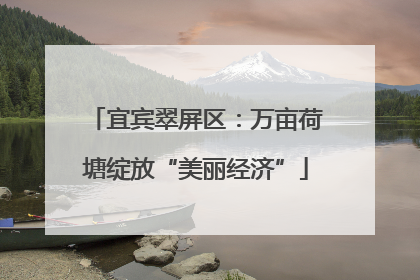 宜宾翠屏区：万亩荷塘绽放“美丽经济”