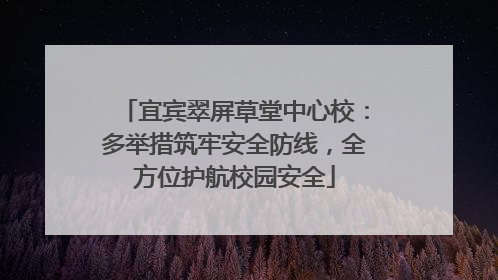 宜宾翠屏草堂中心校：多举措筑牢安全防线，全方位护航校园安全