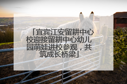 宜宾江安留耕中心校迎接留耕中心幼儿园萌娃进校参观，共筑成长桥梁