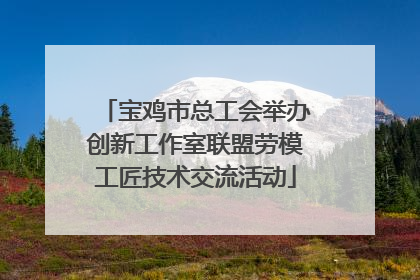 宝鸡市总工会举办创新工作室联盟劳模工匠技术交流活动