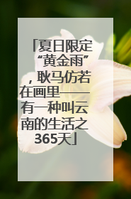 夏日限定“黄金雨”，耿马仿若在画里——有一种叫云南的生活之365天