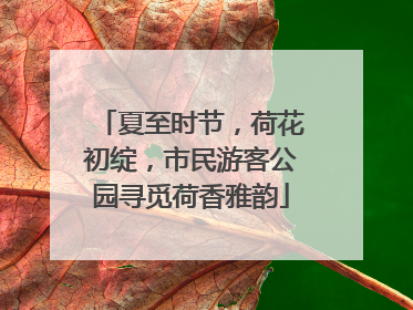 夏至时节，荷花初绽，市民游客公园寻觅荷香雅韵