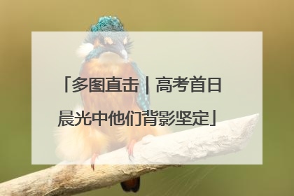 多图直击｜高考首日 晨光中他们背影坚定