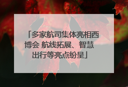 多家航司集体亮相西博会 航线拓展、智慧出行等亮点纷呈
