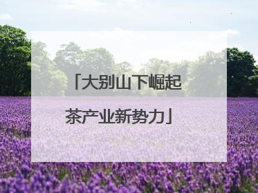 大别山下崛起茶产业新势力