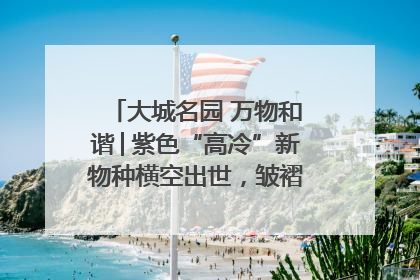 大城名园 万物和谐│紫色“高冷”新物种横空出世，皱褶叶片暗藏进化密码