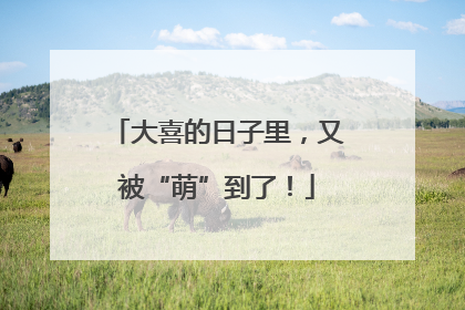 大喜的日子里，又被“萌”到了！