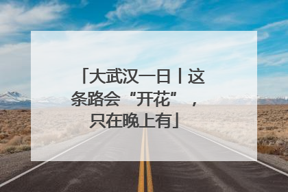 大武汉一日丨这条路会“开花”，只在晚上有