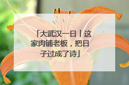 大武汉一日︱这家肉铺老板，把日子过成了诗