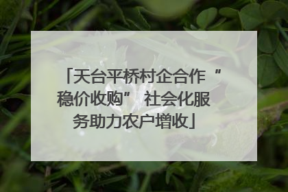 天台平桥村企合作“稳价收购” 社会化服务助力农户增收