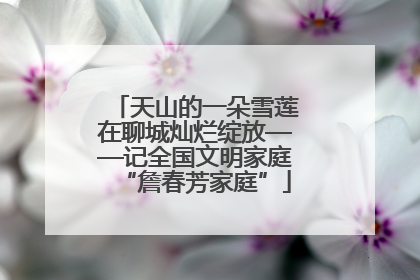 天山的一朵雪莲在聊城灿烂绽放——记全国文明家庭“詹春芳家庭”