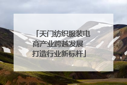 天门纺织服装电商产业跨越发展 打造行业新标杆