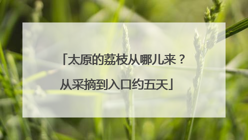 太原的荔枝从哪儿来？从采摘到入口约五天