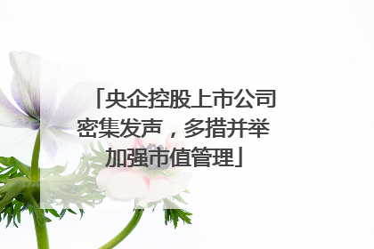 央企控股上市公司密集发声，多措并举加强市值管理