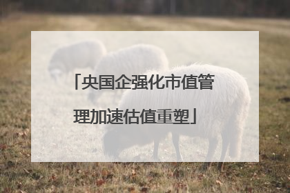央国企强化市值管理加速估值重塑