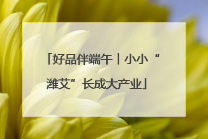 好品伴端午丨小小“潍艾”长成大产业