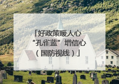 好政策暖人心 “孔雀蓝”增信心（国防视线）
