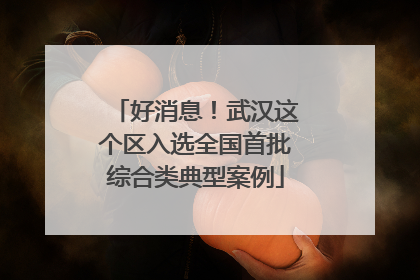 好消息！武汉这个区入选全国首批综合类典型案例