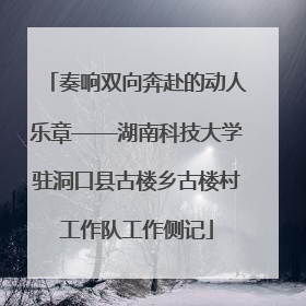 奏响双向奔赴的动人乐章——湖南科技大学驻洞口县古楼乡古楼村工作队工作侧记