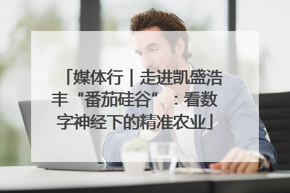 媒体行｜走进凯盛浩丰“番茄硅谷”：看数字神经下的精准农业
