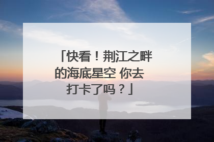 快看！荆江之畔的海底星空 你去打卡了吗？