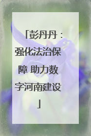 彭丹丹：强化法治保障 助力数字河南建设