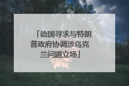 德国寻求与特朗普政府协调涉乌克兰问题立场