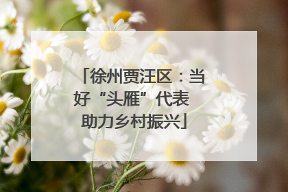 徐州贾汪区：当好“头雁”代表 助力乡村振兴