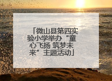 微山县第四实验小学举办“童心飞扬 筑梦未来”主题活动