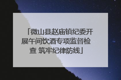 微山县赵庙镇纪委开展午间饮酒专项监督检查 筑牢纪律防线