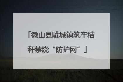 微山县驩城镇筑牢秸秆禁烧“防护网”