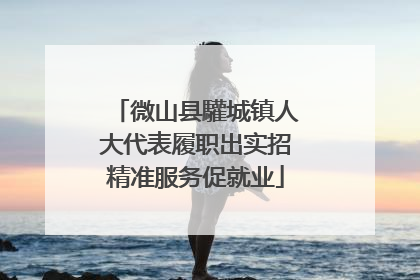 微山县驩城镇人大代表履职出实招精准服务促就业