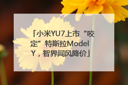 小米YU7上市“咬定”特斯拉Model Y，智界闻风降价