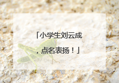 小学生刘云成，点名表扬！