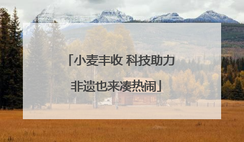 小麦丰收 科技助力 非遗也来凑热闹