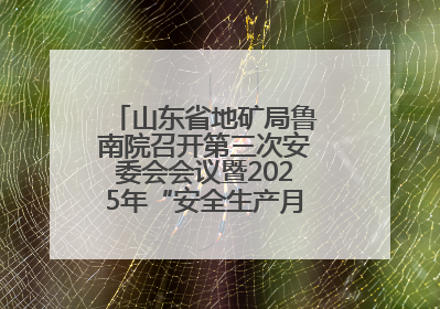 山东省地矿局鲁南院召开第三次安委会会议暨2025年“安全生产月”活动启动仪式