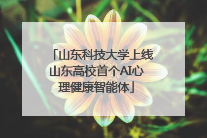 山东科技大学上线山东高校首个AI心理健康智能体