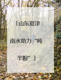 山东夏津：南水助力“吨半粮”