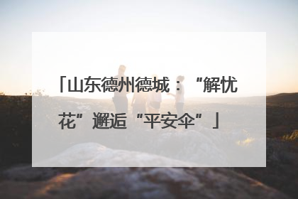 山东德州德城：“解忧花”邂逅“平安伞”
