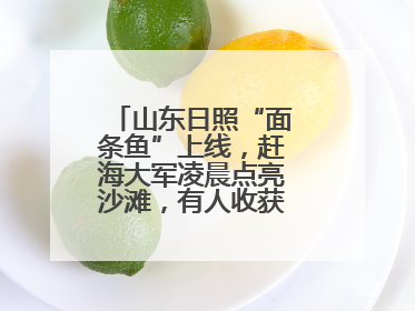 山东日照“面条鱼”上线，赶海大军凌晨点亮沙滩，有人收获满满一桶鱼
